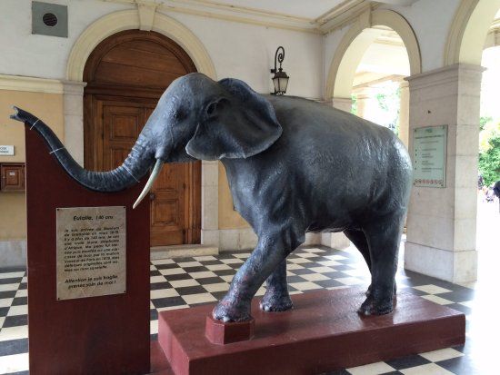 Natural History Museum